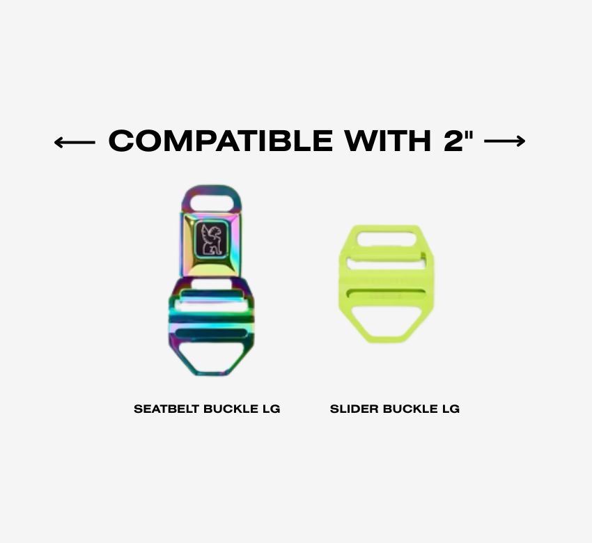 buckle-compatibility